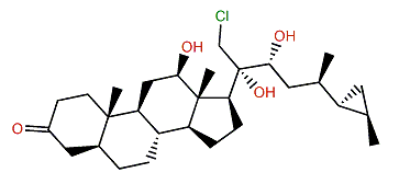 Aragusterol C